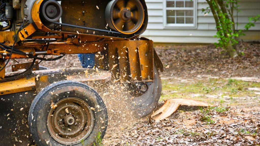 stump grinding service by Top Chop Tree Service