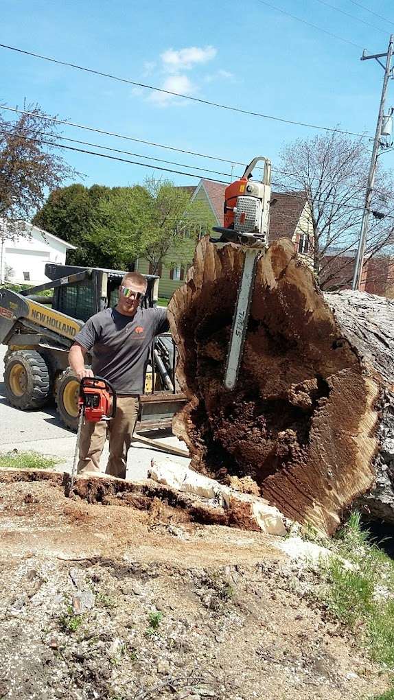 tree removal in Sheboygan