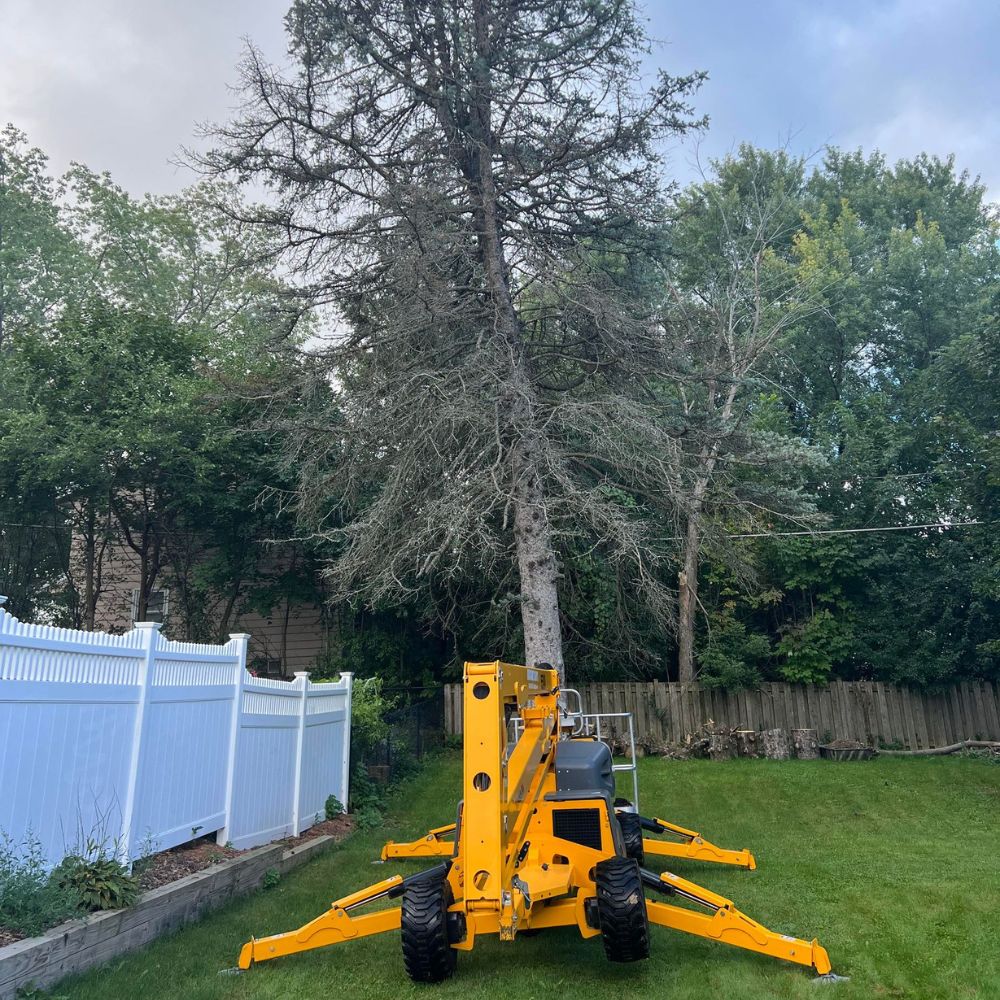 tree service company in KEWASKUM