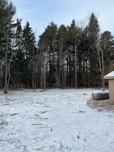 Benefits of Timely Snow Removal