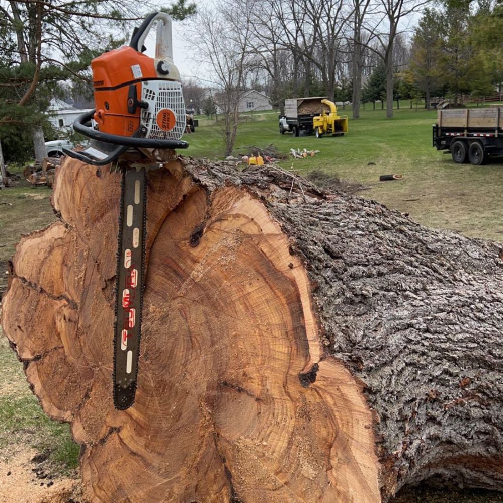 Tree Service Company in Kohler, WI