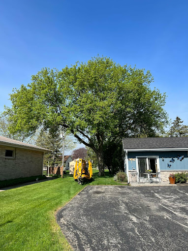 Are you Located near Saukville, WI need 247 tree service