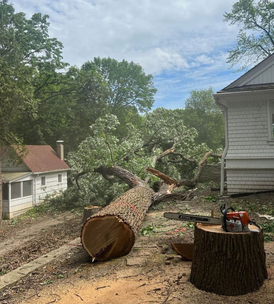 Tree Service Near Cascade, WI