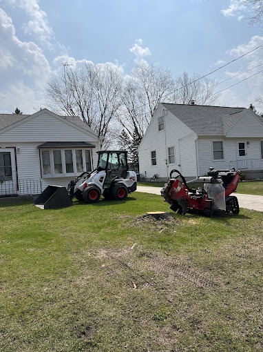 Tree Service Near Batavia, Wisconsin