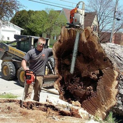 Tree removal in Fredonia